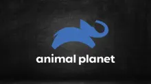 Assistir Animal Planet ao vivo em HD Online