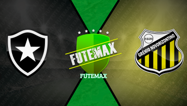 Assistir Botafogo x Novorizontino ao vivo online 22/03/2025